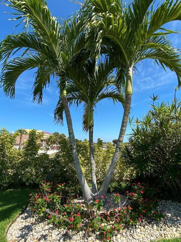Beachside Resort Motel セント・ピート・ビーチ エクステリア 写真